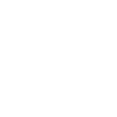 Black flys Blanco
