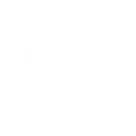 Grizzly 3Blanco