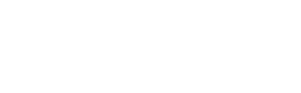 DVS logo