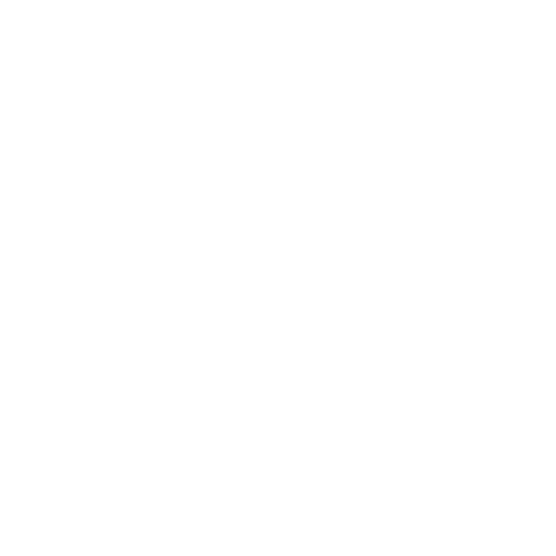 emerica